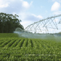 Système d&#39;irrigation à pivot central avec tuyaux galvanisés